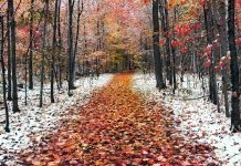 Најчести прашања и одговори од месец ноември, 2025