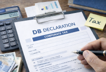 Поднесок на даночен биланс (образец „ДБ“) за 2025 година